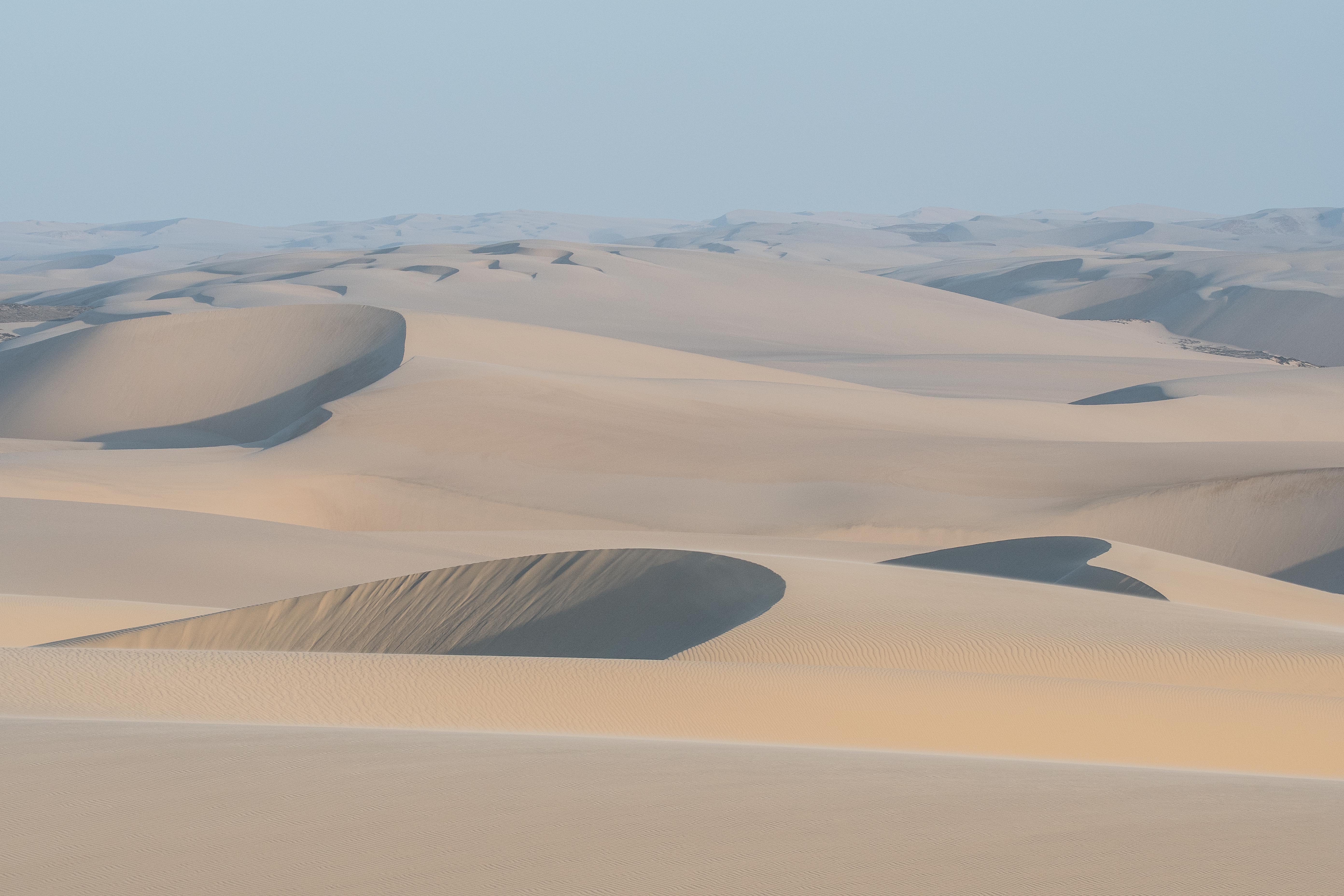 Ensemble de dunes mouvantes  proche du Shipwreck Lodge, avec leurs fondrières, Parc National de la Côte des Squelettes, Namibie.